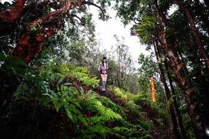 BIB: 
                            <button type="button" onclick="openModal(26205348)" class="btn btn-primary btn-sm float-right btn-popup" data-toggle="modal" data-target=".modal-high-quality">
                        <i class="fas fa-shopping-cart"></i> Add to Cart
                    </button>
                                            <button type="button" onclick="isThisMe(26205348, true)" class="btn btn-success btn-sm float-right btn-popup btn-isme hidden" data-toggle="tooltip" data-placement="bottom" title="นี่คือรูปของคุณใช่ไหม คลิกที่นี่เพื่อเอาเข้าอัลบั้ม">
                        <i class="fas fa-plus"></i> Add to album
                    </button>
                    <button type="button" onclick="isThisMe(26205348, false)" class="btn btn-warning btn-sm float-right btn-popup btn-isnotme hidden">
                        <i class="fas fa-ban"></i> Remove from album
                    </button>